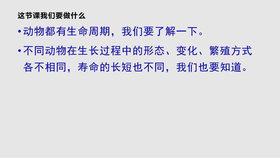 三年級(jí)科學(xué)下冊(cè)其它動(dòng)物的生命周期之二教科版PPT課件_第1頁