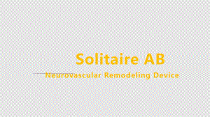 SolitaireAB支架的应用PPT课件