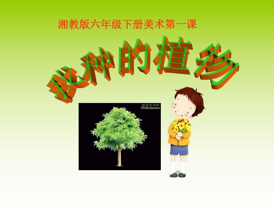 六年级下册美术《我种的植物》PPT课件_第1页