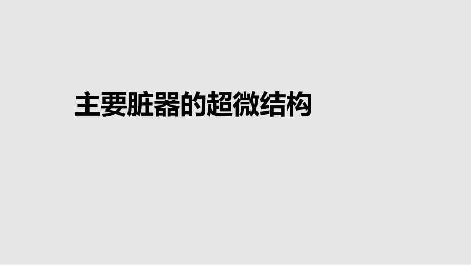 主要臟器的超微結(jié)構(gòu)學(xué)習(xí)課件_第1頁