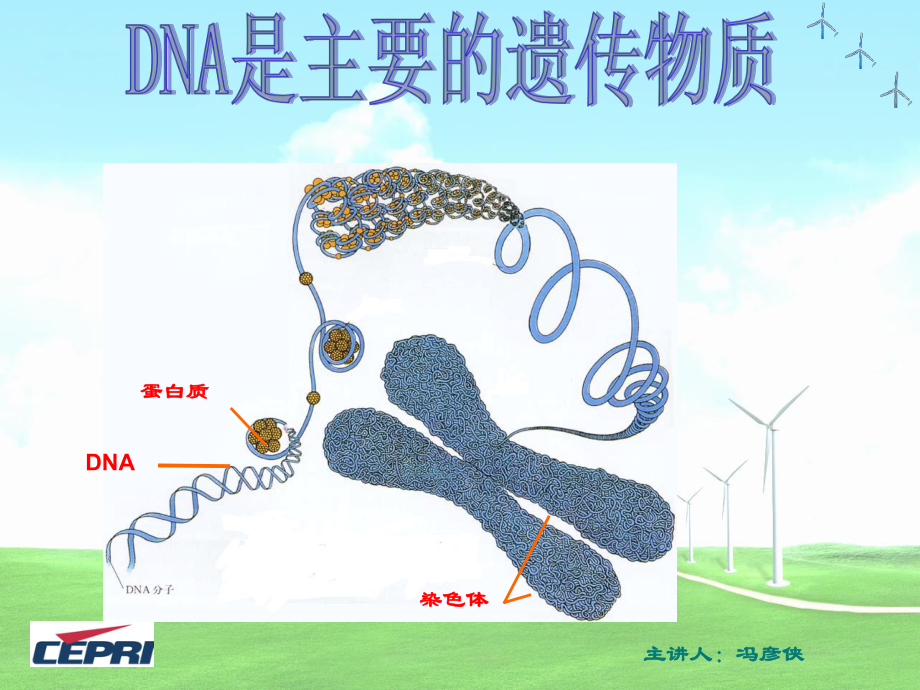 肺炎雙球菌轉(zhuǎn)化實(shí)驗(yàn)PPT課件01_第1頁