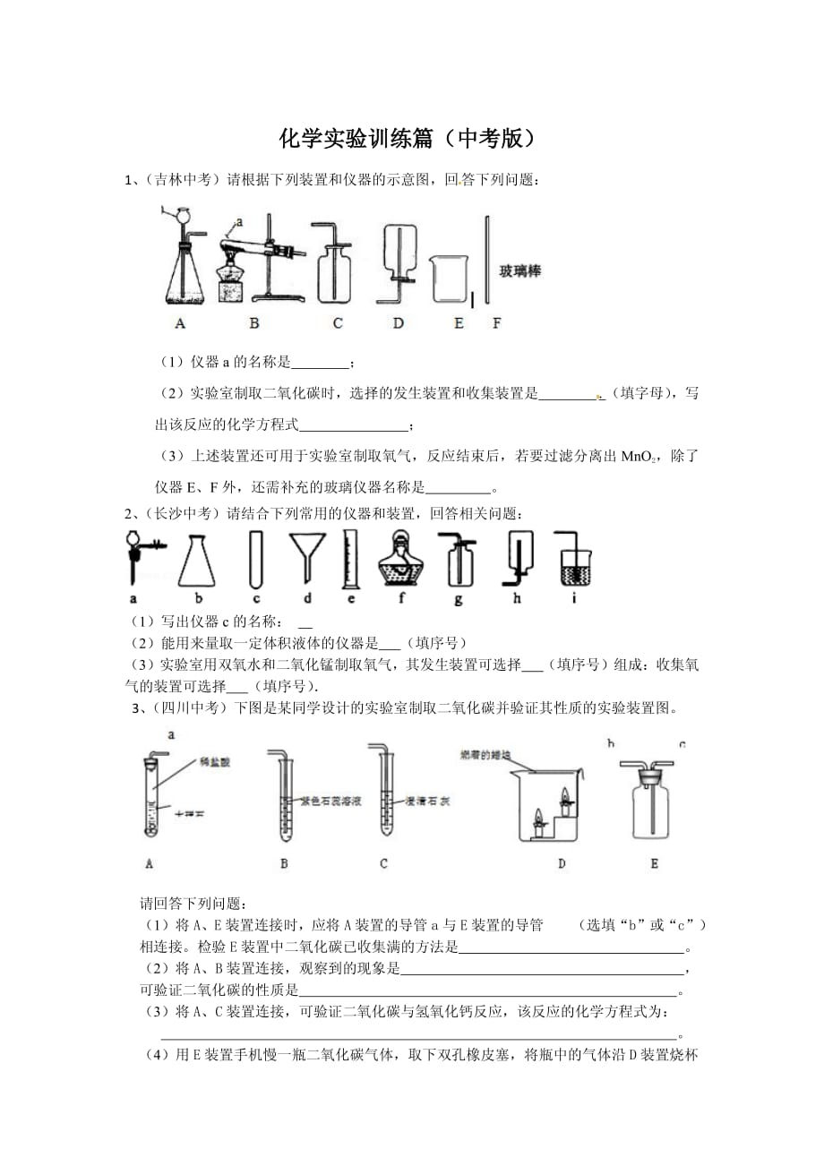 化學實驗訓練篇（中考版）_第1頁