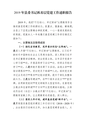 2019年县委书记抓基层党建工作述职报告 (2)
