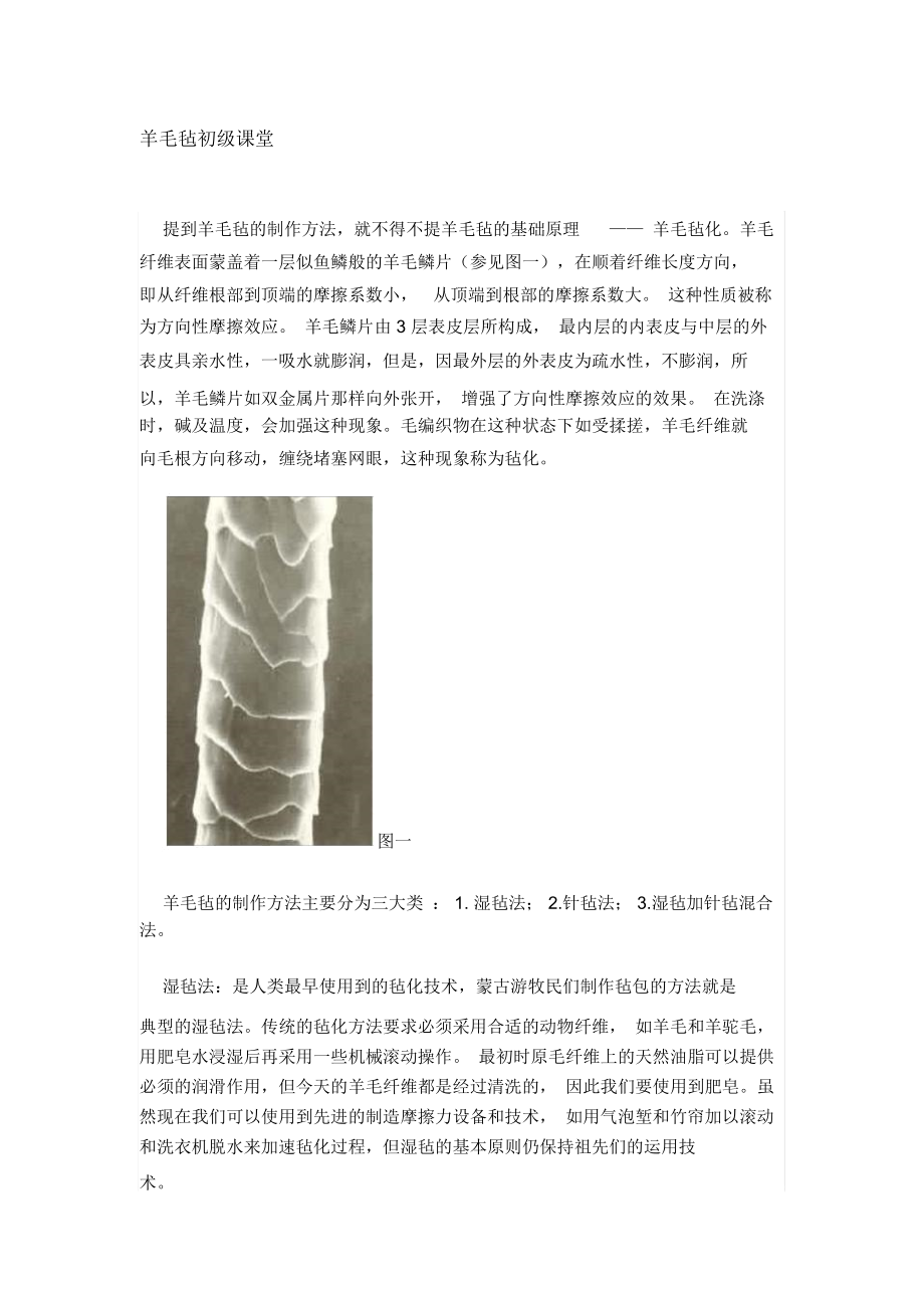 FeltPark羊毛氈初級課堂要點_第1頁