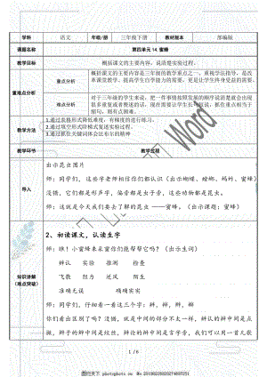 （賽課教案）三年級(jí)語文下冊(cè) 《 蜜蜂》