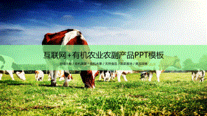 互联网+有机农业农副产品推广宣传PPT授课课件