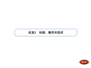 【金版方案】2014高考生物（人教版）一輪復(fù)習(xí)“練案”課件：第3講 核酸、糖類和脂質(zhì)（共23張PPT）