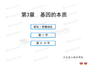 【江蘇專用】2013版高中生物全程復習方略（人教版）配套課件：2.3基因的本質(zhì)