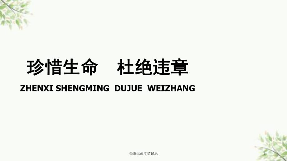 关爱生命珍惜健康课件_第1页