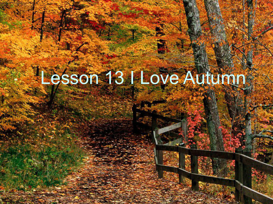 冀教版八年级英语上册Unit 3 Lesson 13 I Love autumn 课件 (共17张PPT)_第1页