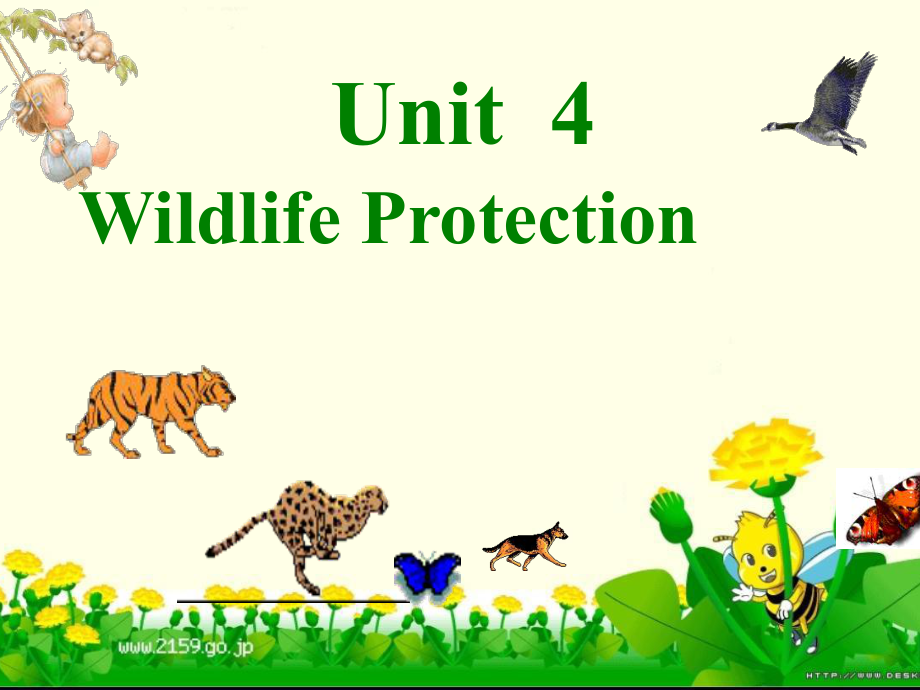 人教版高中英語 必修二 Unit4 《Wildlifeprotection---Reading》 課件2_第1頁