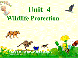 人教版高中英語 必修二 Unit4 《Wildlifeprotection---Reading》 課件2