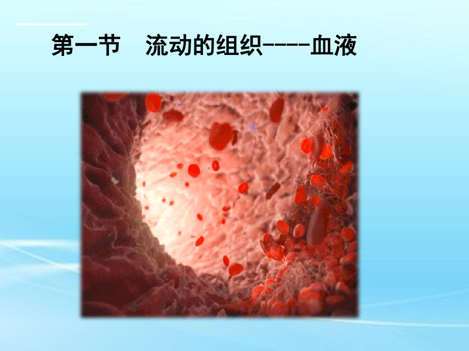 人教版生物 七年級(jí)下冊(cè)第四單元第四章第一節(jié) 流動(dòng)的組織——血液 (共27張PPT)_第1頁(yè)