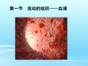 人教版生物 七年級下冊第四單元第四章第一節(jié) 流動的組織——血液 (共27張PPT)