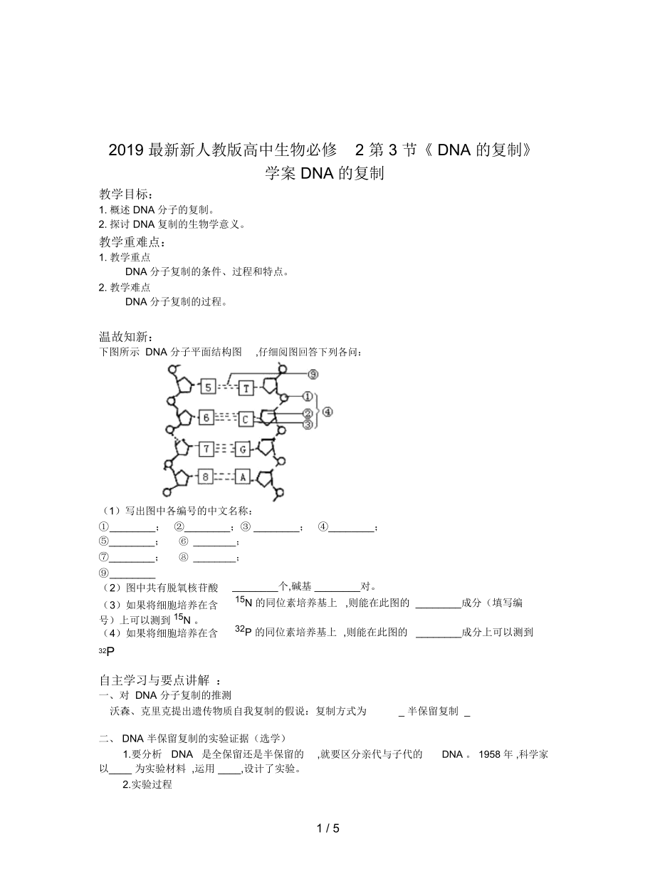 新人教版高中生物必修2第3节《DNA的复制》学案_第1页