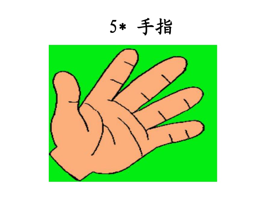 六年級(jí)下冊(cè)語(yǔ)文課件-5 手指_人教新課標(biāo) (共8張PPT)_第1頁(yè)