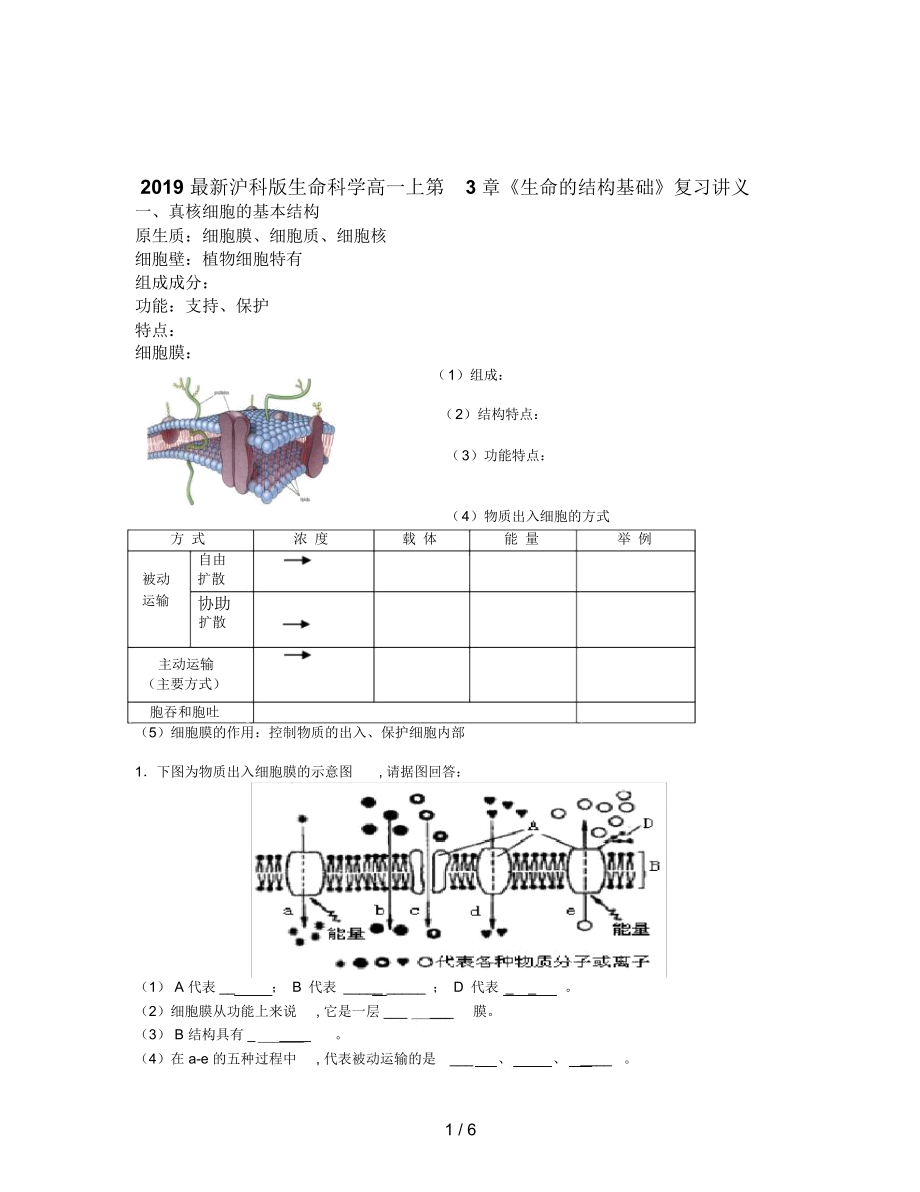 滬科版生命科學(xué)高一上第3章《生命的結(jié)構(gòu)基礎(chǔ)》復(fù)習(xí)講義_第1頁