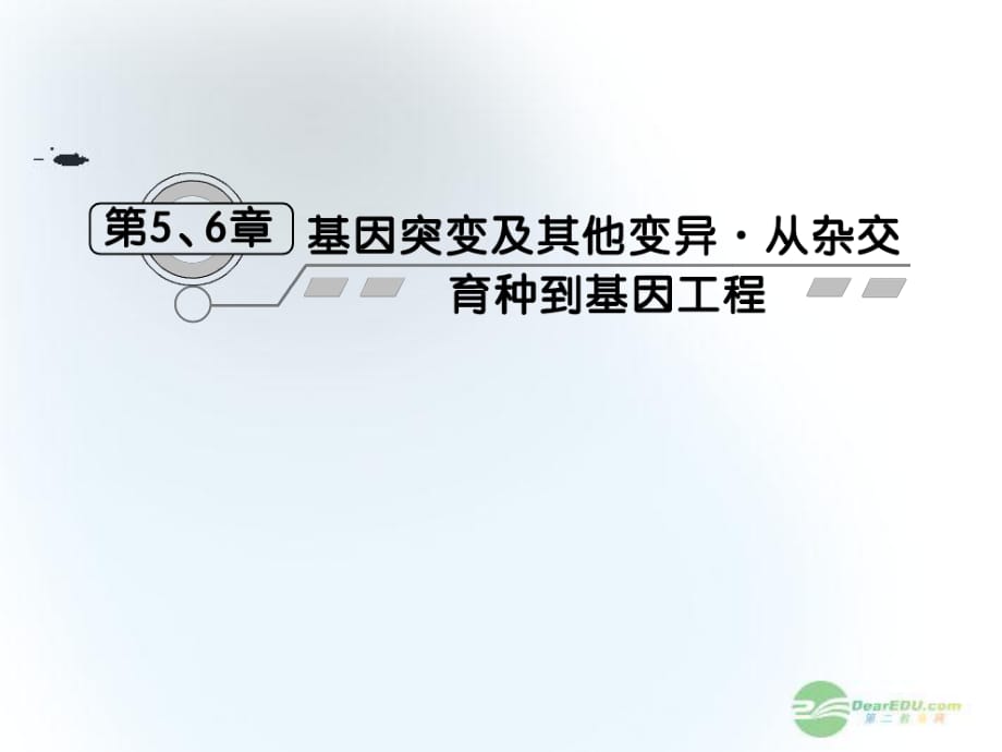 2013屆高考生物一輪復(fù)習(xí) 第5、6章第1課時(shí)基因突變和基因重組課件 新人教版必修2_第1頁