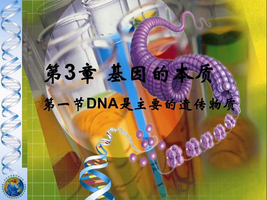 DNA是主要的遺傳物質(zhì) (4)_第1頁