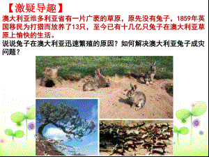 【课件设计】课件设计_生态系统与生态平衡_地理_高中_刘捷.