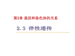 人教版高中生物必修二第二章第3節(jié)《伴性遺傳》優(yōu)秀課件 (共42張PPT)