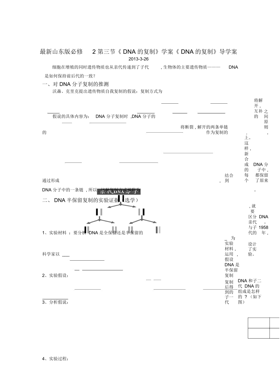 山東版必修2第三節(jié)《DNA的復(fù)制》學(xué)案_第1頁