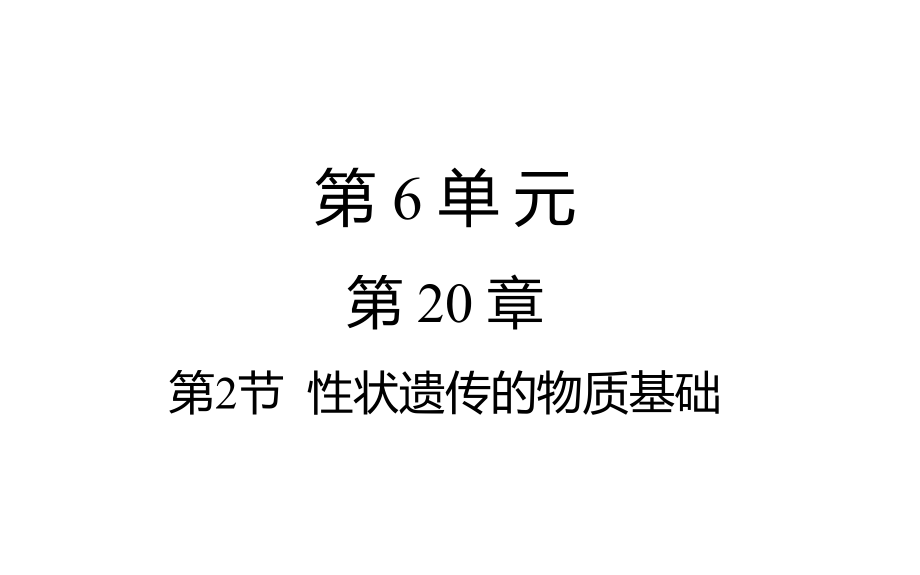 第2節(jié)性狀遺傳的物質基礎_第1頁