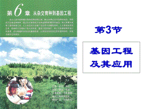 人教版高中生物選修3專題1第3節(jié)基因工程的應(yīng)用 課件(共51張PPT)