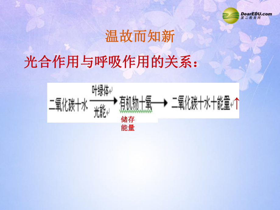 科学·技术·社会　动物与仿生 (2)_第1页