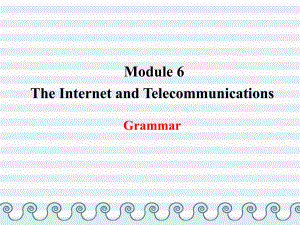 Module 6 Grammar（外研版必修1）