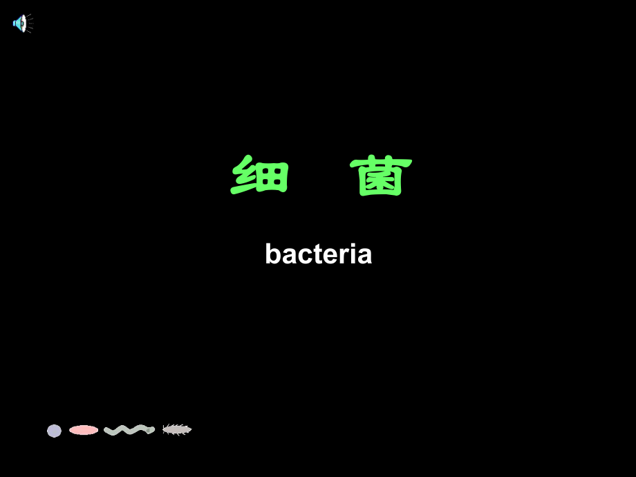 第二節(jié)　細(xì)菌 (3)_第1頁