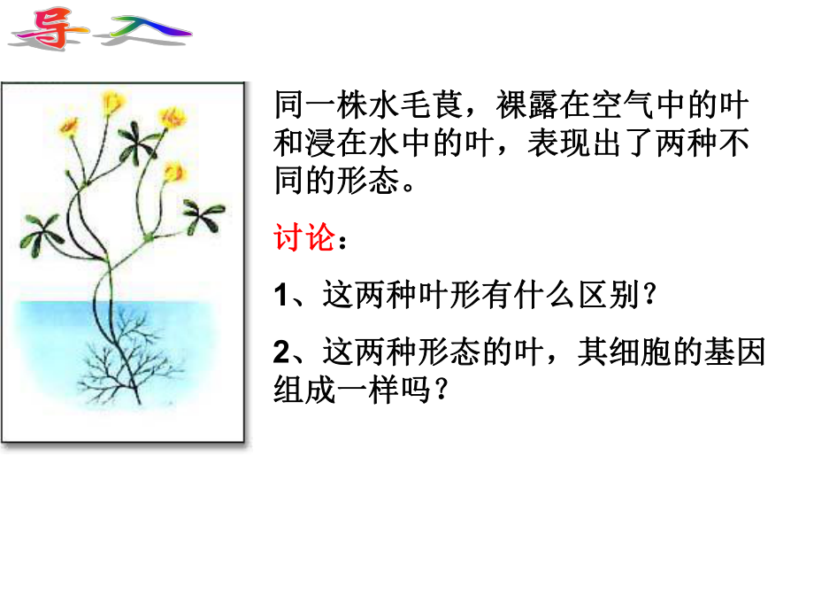 人教版高中生物必修二第四章第2節(jié)《基因?qū)π誀畹目刂啤?課件 (共29張PPT)_第1頁(yè)