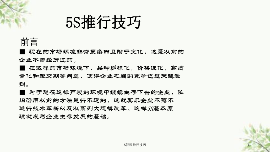 S管理推行技巧课件_第1页