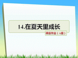 三年級下冊語文課件－第14課 在夏天里成長課后作業(yè)｜長春版 (共18張PPT)