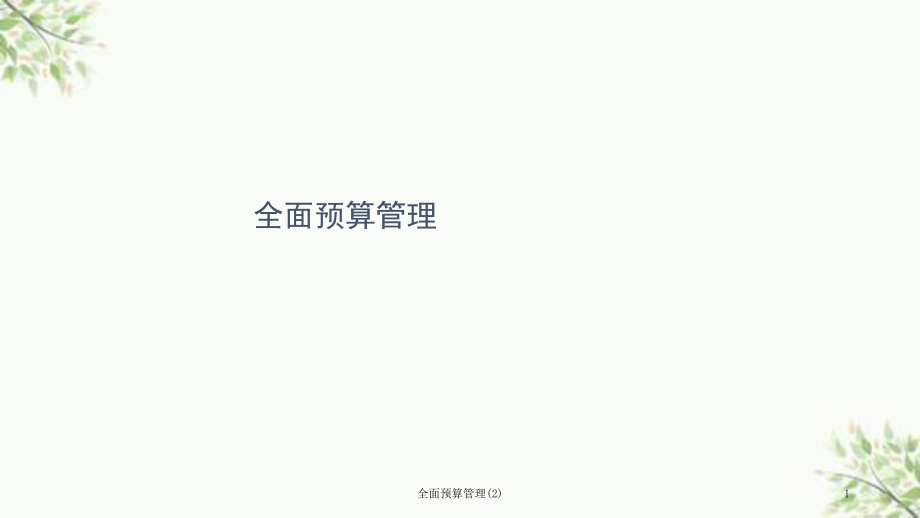 全面预算管理(2)课件_第1页