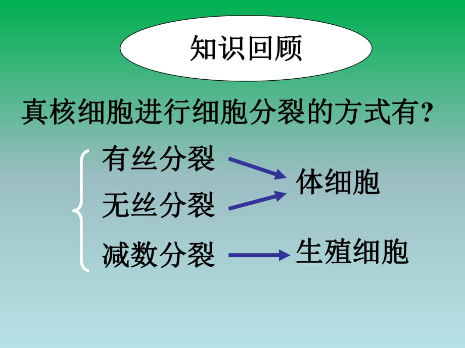 人教版高中生物必修2 2.1減數(shù)分裂和受精作用（99張PPT）_第1頁(yè)