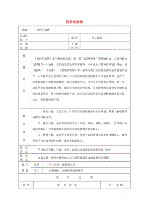 六年級美術(shù)上冊 我種的植物教案設(shè)計 蘇少版