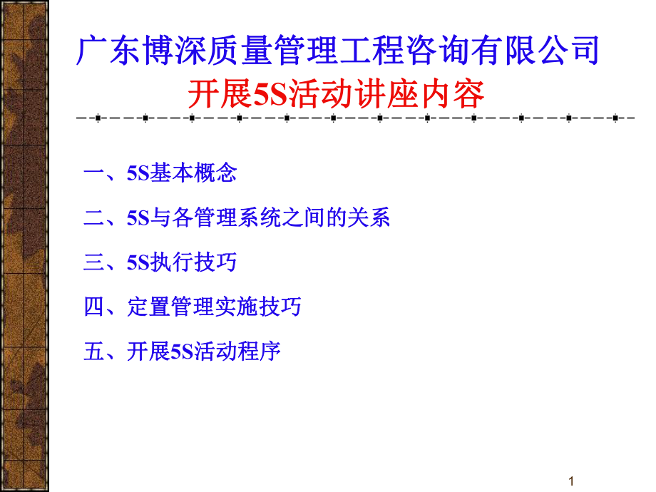 5S 活动讲义及实施指南 广东博深质量管理工程咨询有限公司_第1页