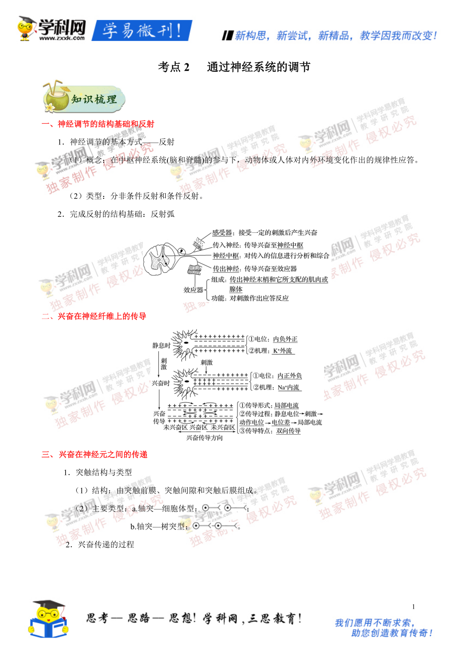 高考考點(diǎn)一遍過高考生物 課標(biāo)通用 第7輯：考點(diǎn)2 通過神經(jīng)系統(tǒng)的調(diào)節(jié)_第1頁