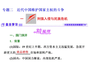 2017-2018學(xué)年人教版高中歷史 專題二一列強(qiáng)入侵與民族危機(jī)