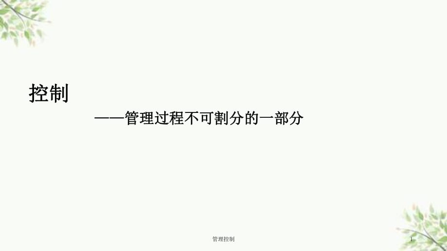 管理控制课件_第1页