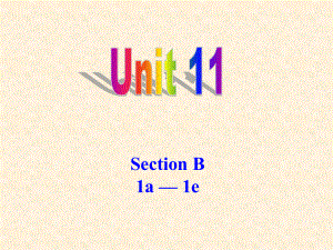 九年級(jí)英語unit11,Section B 1a -1e課件