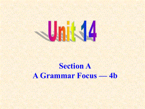 九年級英語unit14,Section A Grammar Focus-4b課件