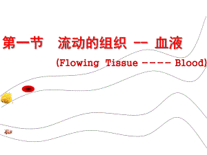 七年級下生物_《流動的組織—血液》課件