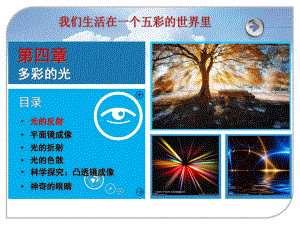 《第四章多彩的光》課件--滬科版八年級(jí)全冊(cè)(新)物理
