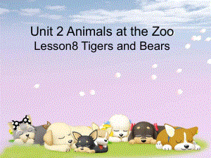 三年級下冊英語課件-Unit 2 Lesson 8 Tigers and Bears冀教版(共18.ppt)