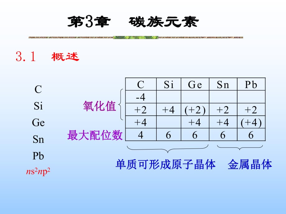 高中化學競賽 無機化學-第3章碳族元素（共31頁PPT）(共31張PPT)_第1頁