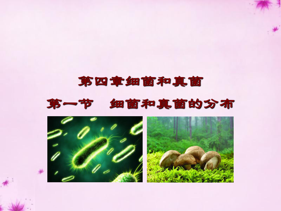 人教初中生物八上《第5单元 第4章 第1节 细菌和真菌的分布》PPT课件 (2) (共35张PPT)_第1页