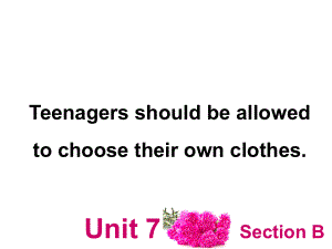 人教版九年英語 Unit7 Teenagers should be allowed to choose their own clothes SectionB（1a- 2b)(共33張PPT)