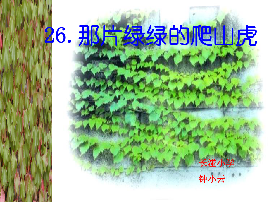 26那片绿绿的爬山虎 (2)_第1页